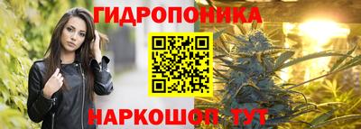 стаф Кунгур