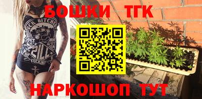 стаф Кунгур