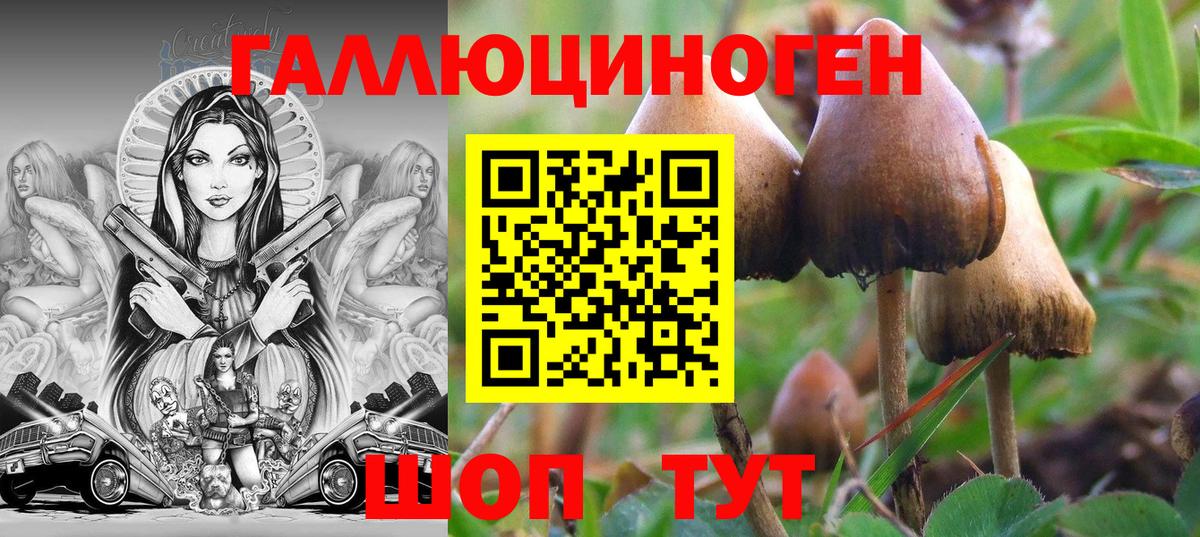 Галлюциногенные грибы ЛСД  Псилоцибиновые грибы ЛСД  где купить наркоту  Казань  Вход с VPN 